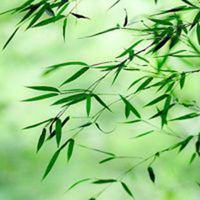 梦想海岛王百度版本下载